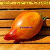 ЗВЕЗДНЫЙ ИСТРЕБИТЕЛЬ ПОВСТАНЦЕВ VT16 ЖЕЛТЫЙ (Rebel Starfighter VT16 Yellow) - утонченное сердце биколор, 3 семян 11724 ЗВЕЗДНЫЙ ИСТРЕБИТЕЛЬ VT-16 ЖЕЛТЫЙ 11724