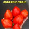 ГНОМ ЗВЕЗДНЫЙ ИСТРЕБИТЕЛЬ*ДЕДУШКИНО СЕРДЦЕ (Dwarf Rebel Starfigter Grandpa's Heart) - сладкое пестрое сердце, 5 семян 11676 ЗВЕЗДНЫЙ ИСТРЕБИТЕЛЬ*ДЕДУШКИНО СЕРДЦЕ 11676