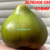 ЗЕЛЕНОЕ СЕРДЦЕ СОФИИ (GREEN HEART OF SOFIA) - зеленое крупное сердце, 5 семян 12511 ЗЕЛЕНОЕ СЕРДЦЕ СОФИИ 12511