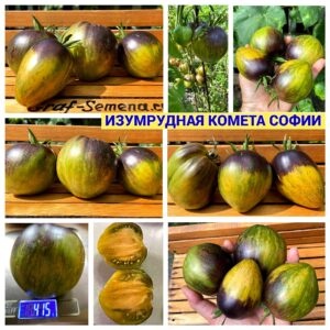 ИЗУМРУДНАЯ КОМЕТА СОФИИ
