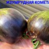 ИЗУМРУДНАЯ КОМЕТА СОФИИ (EMERALD COMET OF SOFIA) - изумрудная сливка-сердце, антоциан, 5 семян 11818 ИЗУМРУДНАЯ КОМЕТА СОФИИ 11818