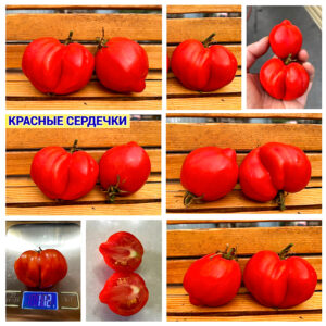 Среднерослые
