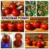 КРАСНЫЙ РОБИН