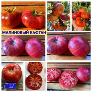 МАЛИНОВЫЙ КАФТАН