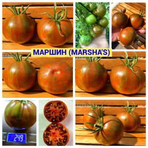 МАРШИН