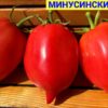 МИНУСИНСКИЕ БЫЧКИ-2 (MINUSINSK BULLS-2) - розовая сливка, 10 семян 11700 МИНУСИНСКИЕ БЫЧКИ-2 11700