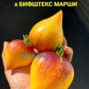 МОСТ НАД НЕСПОКОЙНОЙ ВОДОЙ * СЕРДЦЕ МАРШИ (BRIDGE OVER STORM WATER *THE HEART OF MARSHA) - желтое сердце биколор, антоциан, 5 семян 12071 МОСТ НАД НЕСПОКОЙНОЙ ВОДОЙ х БИФШТЕКС МАРШИ 12071