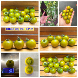 НОВОГОДНИЕ ЧЕРРИ