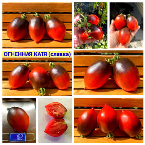 ОГНЕННАЯ КАТЯ (сливка)