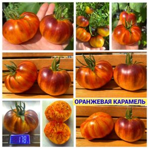 ОРАНЖЕВАЯ КАРАМЕЛЬ