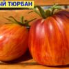 ОГНЕННЫЙ ТЮРБАН (FIRE TURBAN) - сладкий яркий трюфель-биколор, 5 семян 11567 ОГНЕННЫЙ ТЮРБАН 11567