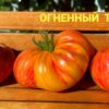 ОГНЕННЫЙ ТЮРБАН (FIRE TURBAN) - сладкий яркий трюфель-биколор, 5 семян 11568 ОГНЕННЫЙ ТЮРБАН 11568