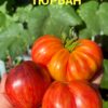 ОГНЕННЫЙ ТЮРБАН (FIRE TURBAN) - сладкий яркий трюфель-биколор, 5 семян 11569 ОГНЕННЫЙ ТЮРБАН 11569