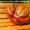 ОГРОМНЫЙ ФЕСТИВАЛЬНЫЙ ТЮЛЬПАН ЖЕЛТЫЙ (HUGE FESTIVAL TULIP YELLOW) - крупный рифленый триколор, 2 семян 11710 ОГРОМНЫЙ ФЕСТИВАЛЬНЫЙ ТЮЛЬПАН 11710