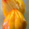 ОГРОМНЫЙ ФЕСТИВАЛЬНЫЙ ТЮЛЬПАН ЖЕЛТЫЙ (HUGE FESTIVAL TULIP YELLOW) - крупный рифленый триколор, 2 семян 12386 ОГРОМНЫЙ ФЕСТИВАЛЬНЫЙ ТЮЛЬПАН 12386