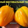 ОГРОМНЫЙ ФЕСТИВАЛЬНЫЙ ТЮЛЬПАН ЖЕЛТЫЙ (HUGE FESTIVAL TULIP YELLOW) - крупный рифленый триколор, 2 семян 12387 ОГРОМНЫЙ ФЕСТИВАЛЬНЫЙ ТЮЛЬПАН 12387