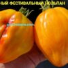 ОГРОМНЫЙ ФЕСТИВАЛЬНЫЙ ТЮЛЬПАН ЖЕЛТЫЙ (HUGE FESTIVAL TULIP YELLOW) - крупный рифленый триколор, 2 семян 12388 ОГРОМНЫЙ ФЕСТИВАЛЬНЫЙ ТЮЛЬПАН 12388