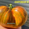 ОХРОВАЯ ВУАЛЬ (OCHRE VEIL, OKHROVAYA VUAL') - бронзово-изумрудное сердце, антоциан, 5 семян 12101 ОХРОВАЯ ВУАЛЬ 12101