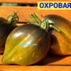 ОХРОВАЯ ВУАЛЬ (OCHRE VEIL, OKHROVAYA VUAL') - бронзово-изумрудное сердце, антоциан, 5 семян 12374 ОХРОВАЯ ВУАЛЬ 12374