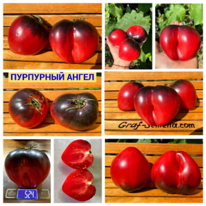 ПУРПУРНЫЙ АНГЕЛ