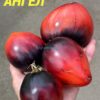 ПУРПУРНЫЙ АНГЕЛ 13777