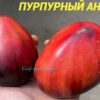 ПУРПУРНЫЙ АНГЕЛ 13778