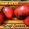 ПУРПУРНЫЙ АНГЕЛ 13779