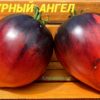 ПУРПУРНЫЙ АНГЕЛ 13780