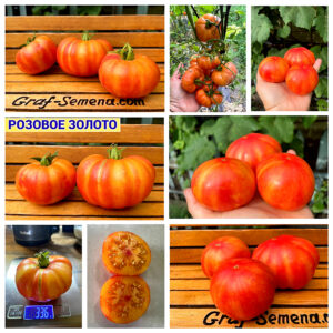 РОЗОВОЕ ЗОЛОТО