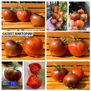 Среднерослые