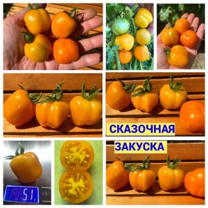 СКАЗОЧНАЯ ЗАКУСКА