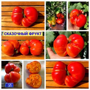 СКАЗОЧНЫЙ ФРУКТ