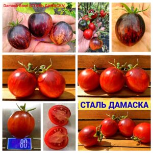 СТАЛЬ ДАМАСКА