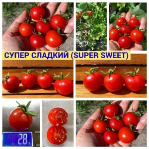 СУПЕР СЛАДКИЙ