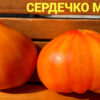 СЕРДЕЧКО МЕЧТЫ (DREAM HEART) - крупное сердце би-колор, 5 семян 12518 СЕРДЕЧКО МЕЧТЫ 12518