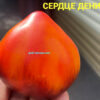СЕРДЦЕ ДЕНИСА (DENIS'S HEART) - желто-синее сердечко, биколор, 5 семян 12513 СЕРДЦЕ ДЕНИСА 12513