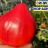 СИНИЦА МОНАХИНИ (TETÓN DE MONJA, Teton de nonne, Mamella de Monja) - крупное малиновое сердце, 5 семян 12201 СИНИЦА МОНАХИНИ 12201