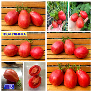 ТВОЯ УЛЫБКА
