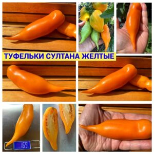 ТУФЕЛЬКИ СУЛТАНА ЖЕЛТЫЕ