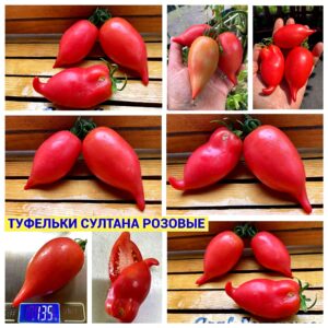 ТУФЕЛЬКИ СУЛТАНА РОЗОВЫЕ