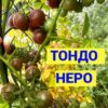ТОНДО НЕРО ЧЕРРИ (TONDO NERO CHERRY) - шоколадный черри, 10 семян 12420 ТОНДО НЕРО ЧЕРРИ 12420