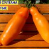ТУФЕЛЬКИ СУЛТАНА ЖЕЛТЫЕ (SULTAN'S SHOES YELLOW) - желтая сливка с носиком, 5 семян 12054 ТУФЕЛЬКИ СУЛТАНА ЖЕЛТЫЕ 12054