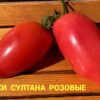 ТУФЕЛЬКИ СУЛТАНА РОЗОВЫЕ (SULTAN'S SHOES PINK) - розовая сливка с носиком, 5 семян 12057 ТУФЕЛЬКИ СУЛТАНА РОЗОВЫЕ 12057