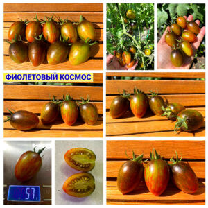 ФИОЛЕТОВЫЙ КОСМОС