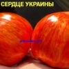 ХРАБРОЕ СЕРДЦЕ УКРАИНЫ (BRAVE HEART OF UKRAINE) - красно-желтое крупное сердце, 5 семян 11895 ХРАБРОЕ СЕРДЦЕ УКРАИНЫ 11895