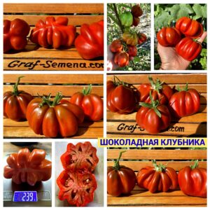 ШОКОЛАДНАЯ КЛУБНИКА