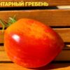 ЯНТАРНЫЙ ГРЕБЕНЬ (AMBER COMB, YANTARNYY GREBEN') - сладкое сердце биколор, 5 семян 12350 ЯНТАРНЫЙ ГРЕБЕНЬ 12350
