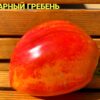 ЯНТАРНЫЙ ГРЕБЕНЬ (AMBER COMB, YANTARNYY GREBEN') - сладкое сердце биколор, 5 семян 12351 ЯНТАРНЫЙ ГРЕБЕНЬ 12351