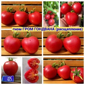 Низкорослые