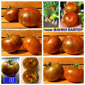 гном ФАНКИ ВАЙПЕР